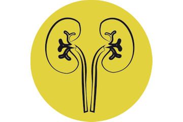 Urologie a chirurgie